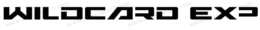 Wildcard Expanded字体转换